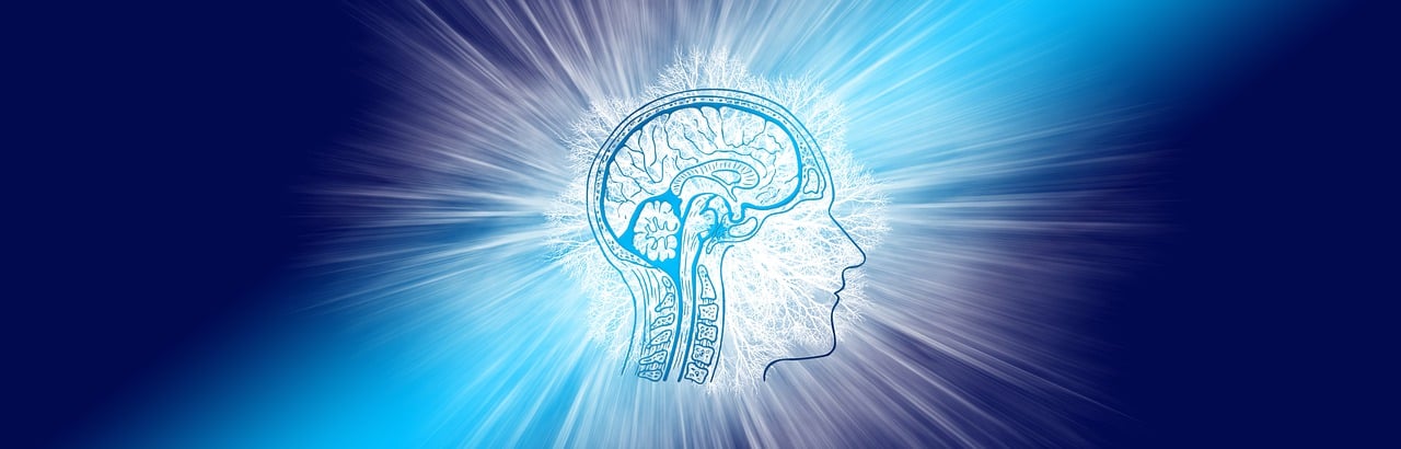 découvrez comment l'intelligence émotionnelle peut transformer vos relations interpersonnelles et améliorer votre bien-être. apprenez des stratégies pratiques pour développer votre empathie, votre gestion des émotions et votre communication, afin d'atteindre un équilibre personnel et professionnel.