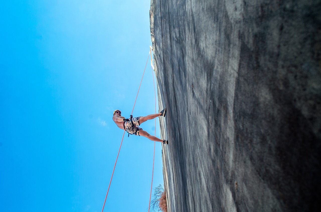 découvrez comment développer votre résilience face aux défis de la vie. apprenez des stratégies pratiques pour surmonter les obstacles, renforcer votre mental et transformer les épreuves en opportunités de croissance.