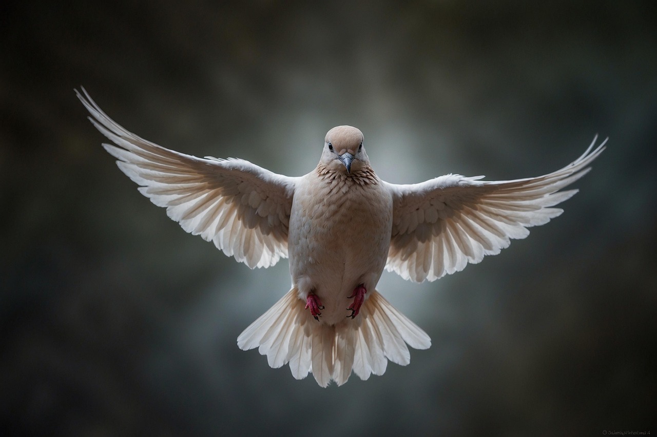découvrez la signification de la gratitude, ses bienfaits pour le bien-être et des conseils pratiques pour cultiver la reconnaissance au quotidien afin d’améliorer votre vie.